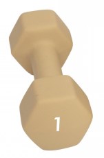 Abilica Dumbbells