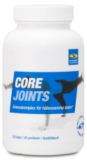 Core Joints