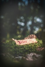 -localization-error-products-images-main-thumbnail-extra- 2