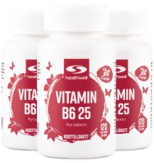 Vitamin B6 25