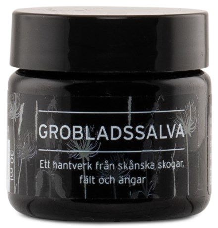 Herbasensia Salve m. Glat Vejbred,  - Herbasensia