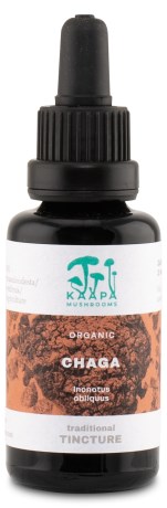 -localization-error-products-images-main-thumbnail- KP Chaga Extract Tincture, 30 ml