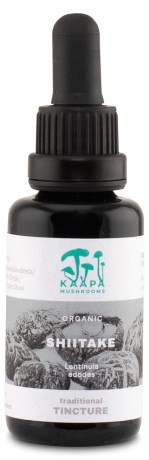 -localization-error-products-images-main-thumbnail- KP Shiitake Extract Tincture, 30 ml