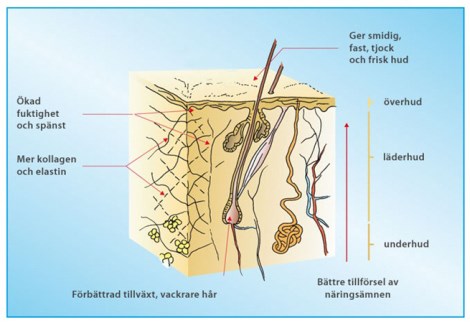 -localization-error-products-images-main-extra- 1