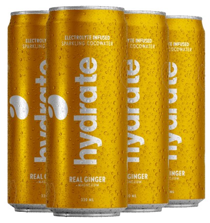 -localization-error-products-images-main-thumbnail- Plant Factory Hydrate, Ginger, 4-pak