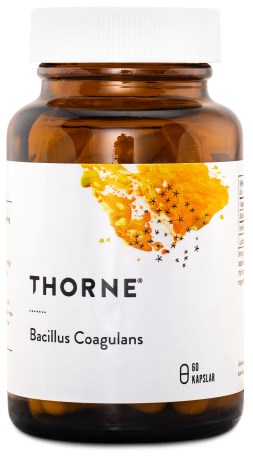 Thorne Bacillus Coagulans,  - Thorne