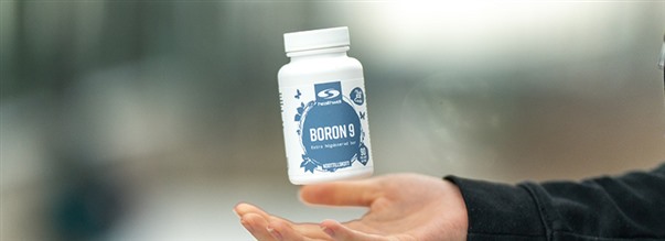 Lær mere om bor - et værdsat mineral