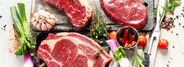 Hvordan fungerer carnivore-diæten?