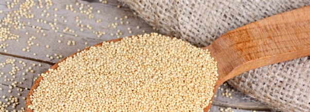 Amaranth - et lille, nringsrigt fr