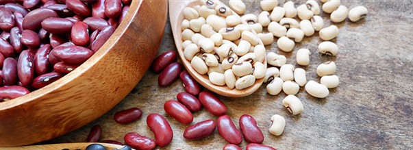 Hvad er Fytostrogener?