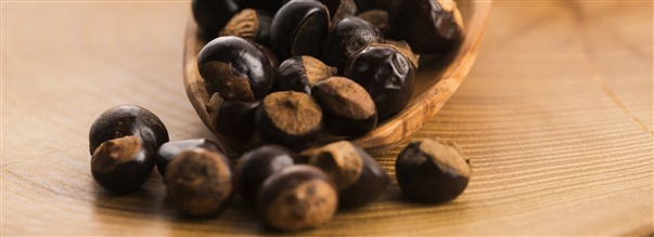 Alt om koffeinrige guarana