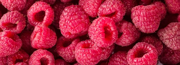 Derfor taler alle om hindbrketon