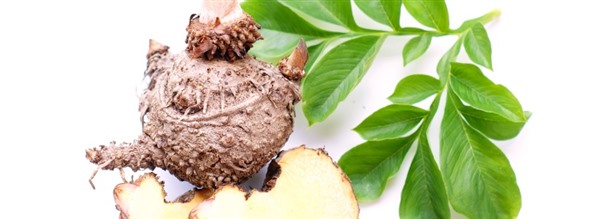 Alt om glucomannan