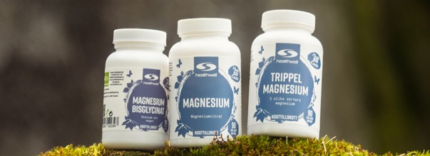 Guide: V�lg det rette magnesium