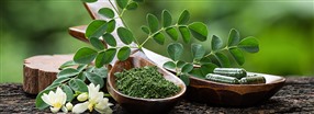 Mirakeltret moringa