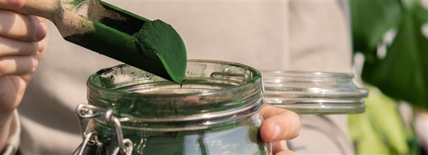 Spirulina - den næringsrige alge