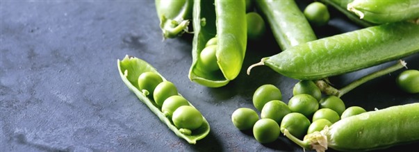 Sådan fungerer ærteprotein