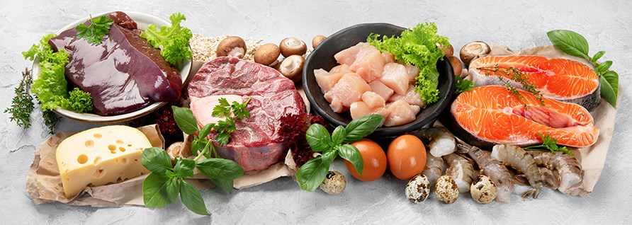 Forskellige animalske fdevarer der er rige p vitamin B12.
