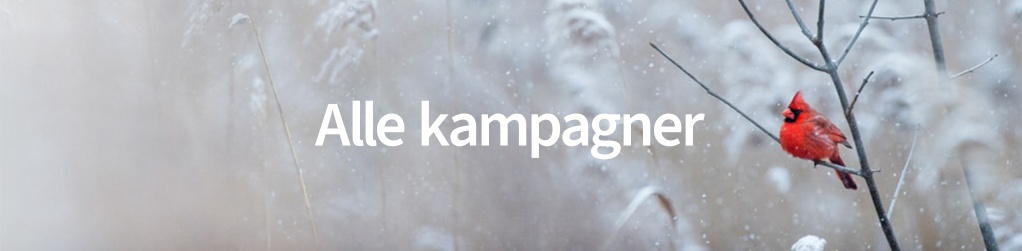 Alle kampagner