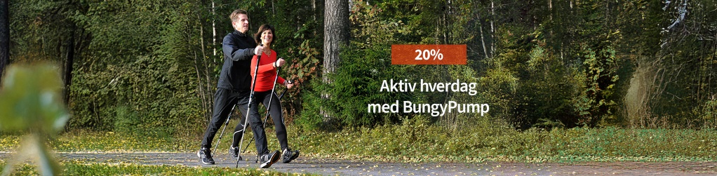 BungyPump - 20 %