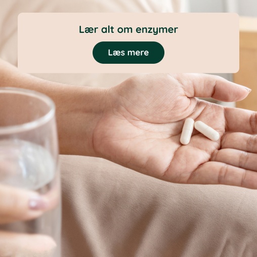 L�r alt om enzymer