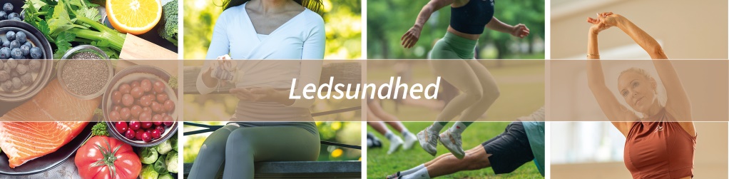 Ledsundhed