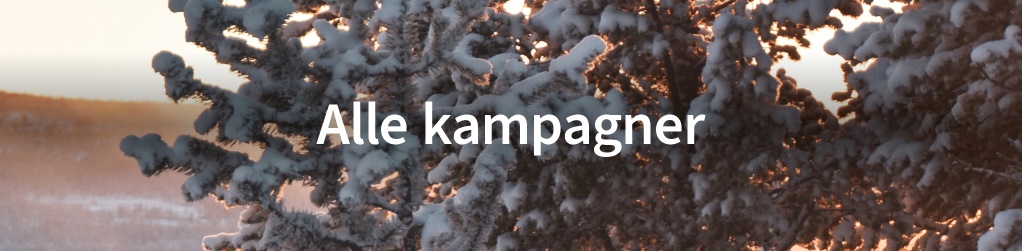 Alle kampagner