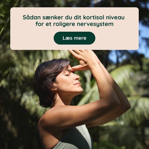 S�dan s�nker du dit kortisol niveau for et roligere nervesystem
