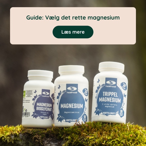 Guide: V�lg det rette magnesium
