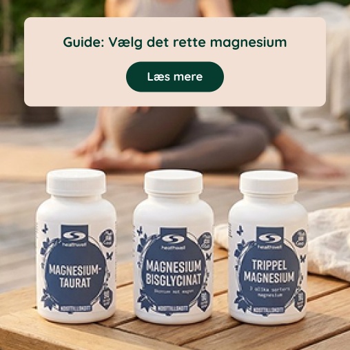 Guide: V�lg det rette magnesium