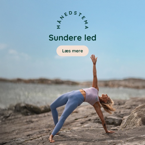 Tema: Ledsundhed