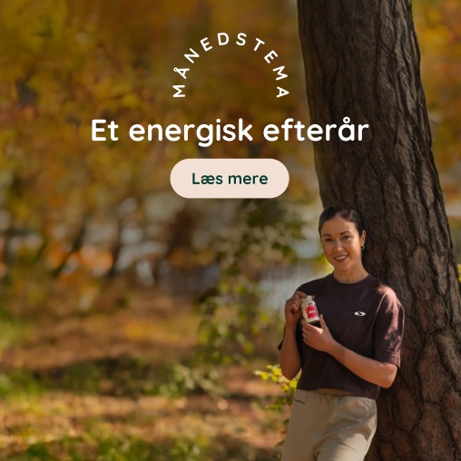 Immunforsvar & Mavesundhed