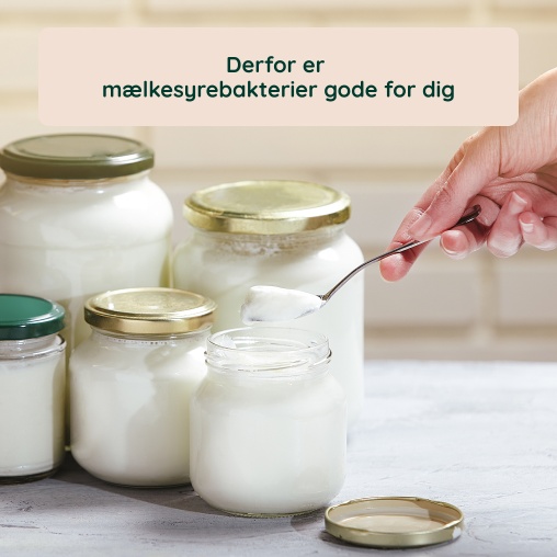 Derfor er m�lkesyrebakterier gode for dig