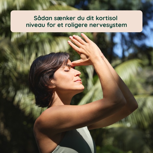 Mnedens tema: Svn & Afslapning