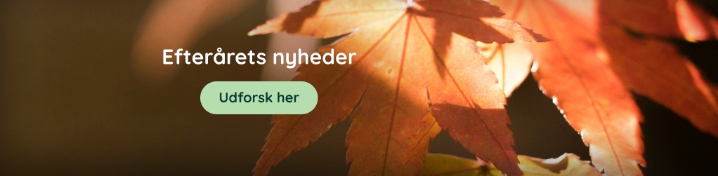Nyheder
