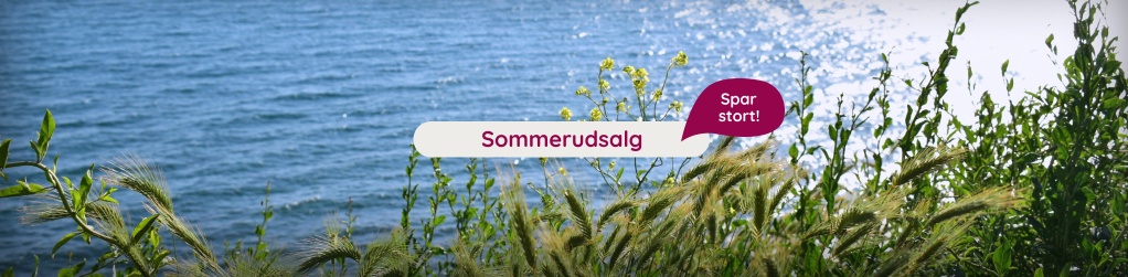 Sommerudsalg!